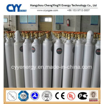 High Pressure and Low Price Seamless Steel Fire Fighting Carbon Dioxide Gas Cylinder